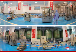 金正恩视察水产加工厂，强调食品安全与民生保障