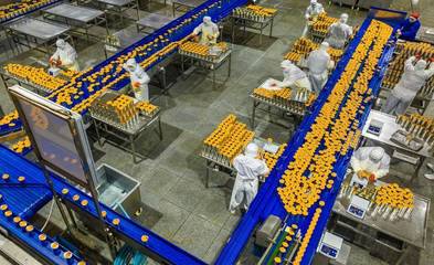 秭归柑橘深加工出口生产忙 饮料产业焕发新活力