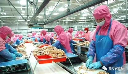 喜讯 农产品加工业即将迎来发展黄金期，饮料行业领跑