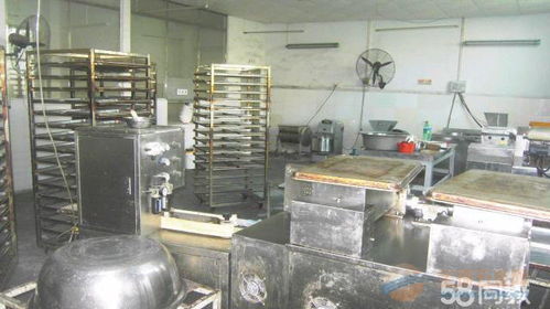 广州黄埔区穗东街道废旧食品厂设备回收与日用品处理服务联系方式